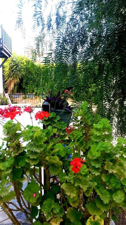 Emelce Apart Bodrum Kültér fotó