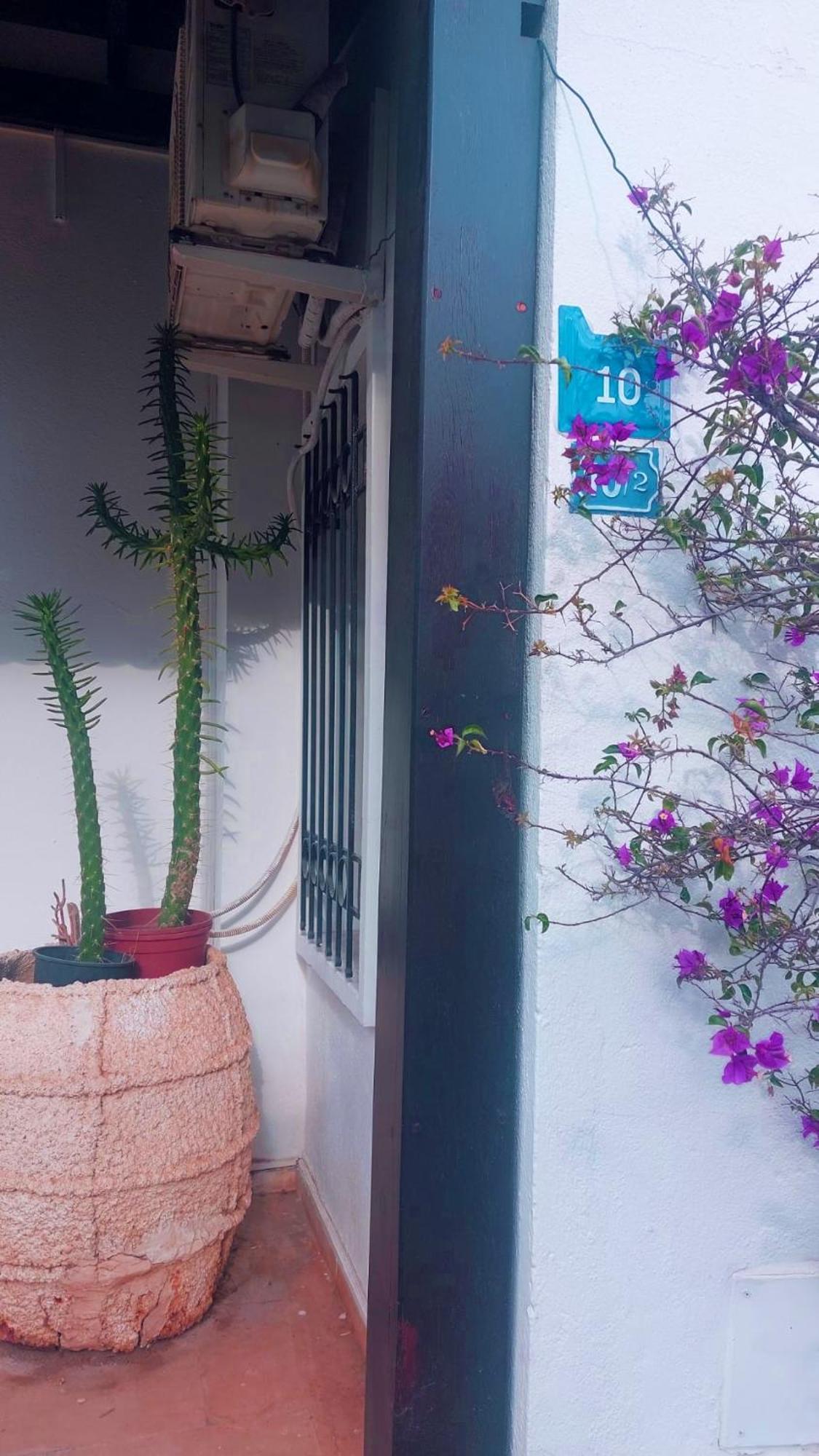 Emelce Apart Bodrum Kültér fotó