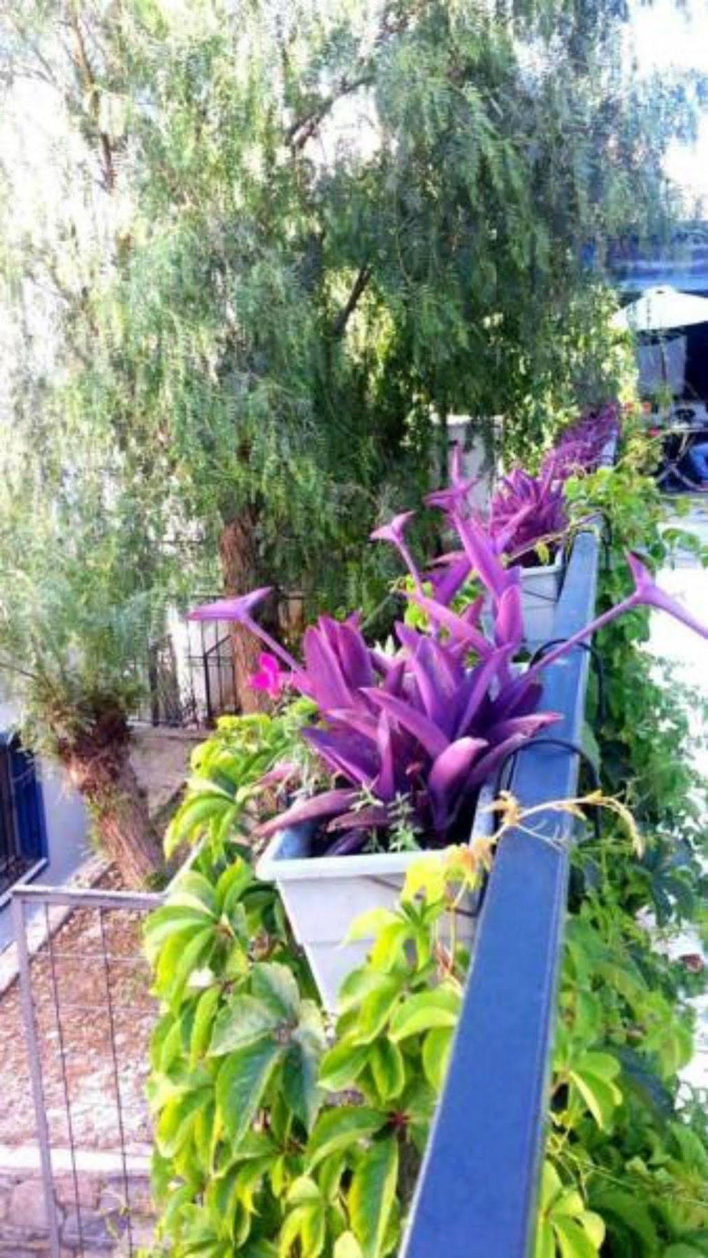 Emelce Apart Bodrum Kültér fotó